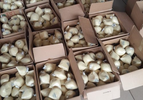 WhatsApp Image 2025-12-12 at 11.32.22 AM